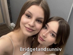 Bridgetandsunniv