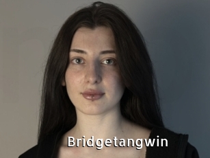 Bridgetangwin