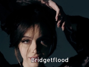 Bridgetflood