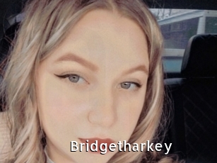 Bridgetharkey