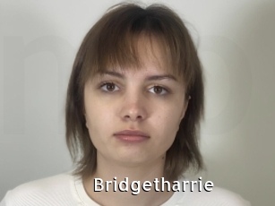 Bridgetharrie