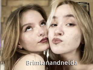 Brimlanandnelda