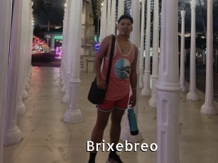 Brixebreo