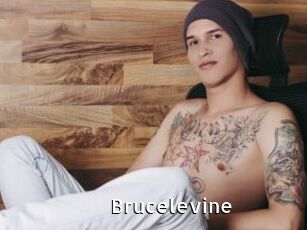 Brucelevine