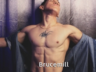 Brucemill