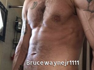 Brucewaynejr1111