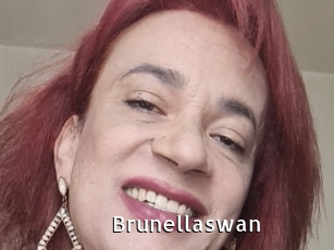 brunellaswan My Porno Stash