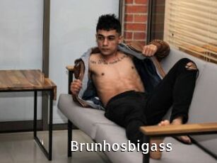 Brunhosbigass