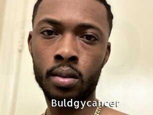 Buldgycancer