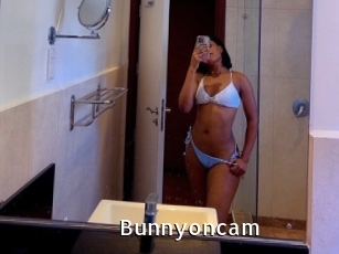 Bunnyoncam