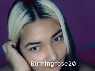 Burningrose20