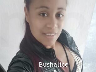Bushalice