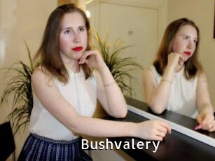 Bushvalery