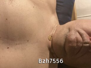 Bzh7556