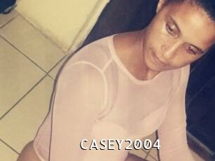 CASEY2004