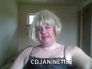 CDJANINE1182