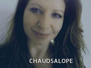 CHAUDSALOPE