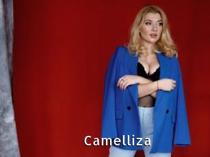 Camelliza
