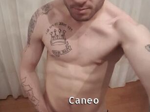 Caneo