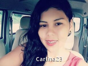 Carlina23
