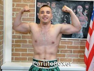 CarlitoBoxer