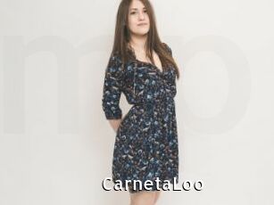 CarnetaLoo My Porno Stash