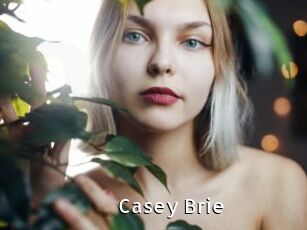 Casey_Brie