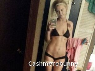 Cashmerebunny