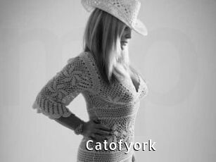 Catofyork