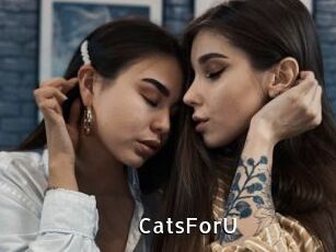 CatsForU