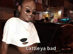 Cattleya_bad