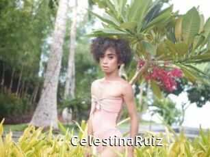 CelestinaRuiz My Porno Stash