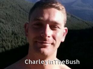 CharleyInTheBush