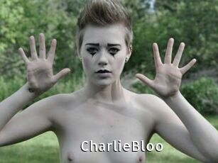 CharlieBloo