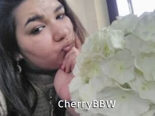 CherryBBW My Porno Stash