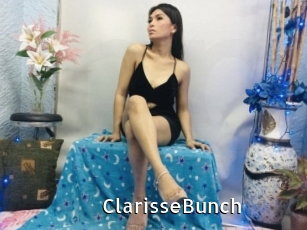 ClarisseBunch My Porno Stash