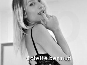Colette_bermud