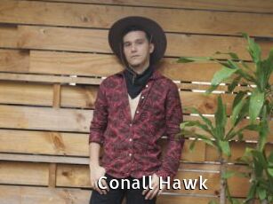 Conall_Hawk