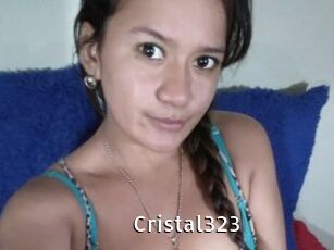 Cristal323 My Porno Stash