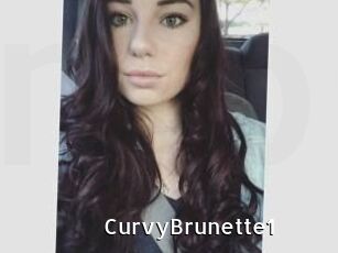 CurvyBrunette1 My Porno Stash