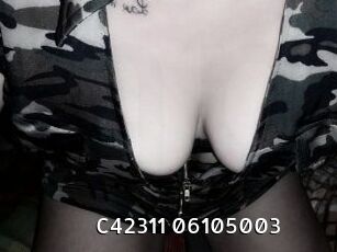 C42311-06105003