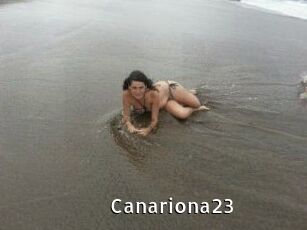Canariona23