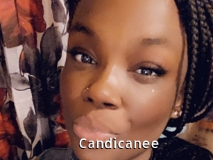 Candicanee