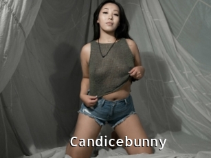 Candicebunny