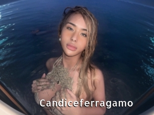 Candiceferragamo