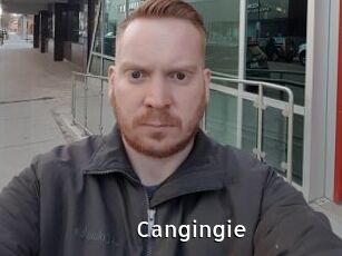 Cangingie