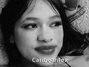 Caribeanfox