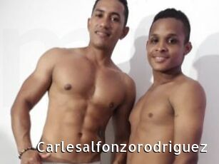 Carlesalfonzorodriguez