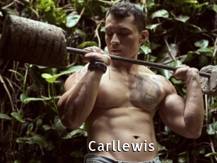 Carllewis