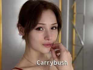 Carrybush